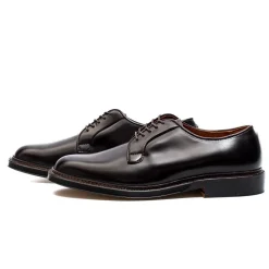 Alden Colour 8 Cordovan Plain Toe Blucher 990