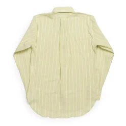 Allevol Button Down Shirt Green & White