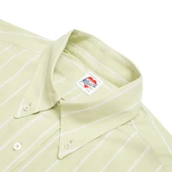 Allevol Button Down Shirt Green & White