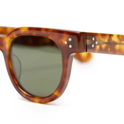Julius Tart Optical FDR Light Tortoise